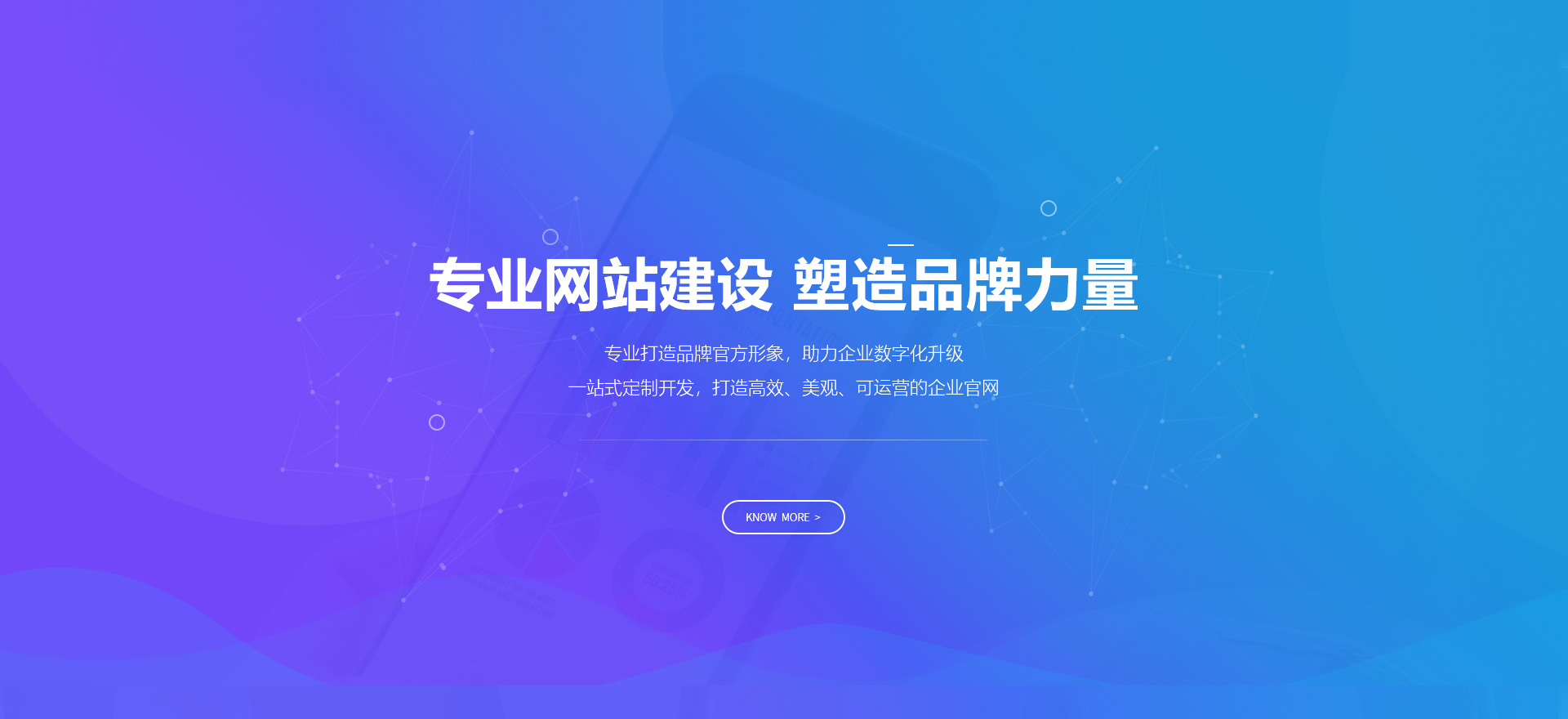 海西建站-专业网站建设 塑造品牌力量